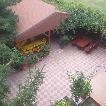 Pensiunea Paradis Vrancean Cotesti  Екстер'єр фото