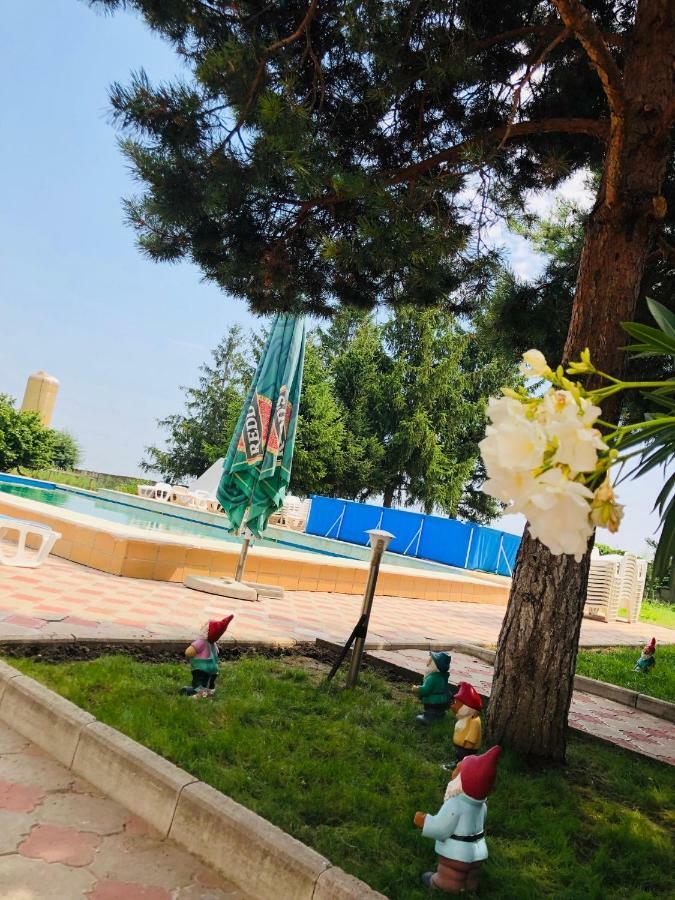 Pensiunea Paradis Vrancean Cotesti  Екстер'єр фото