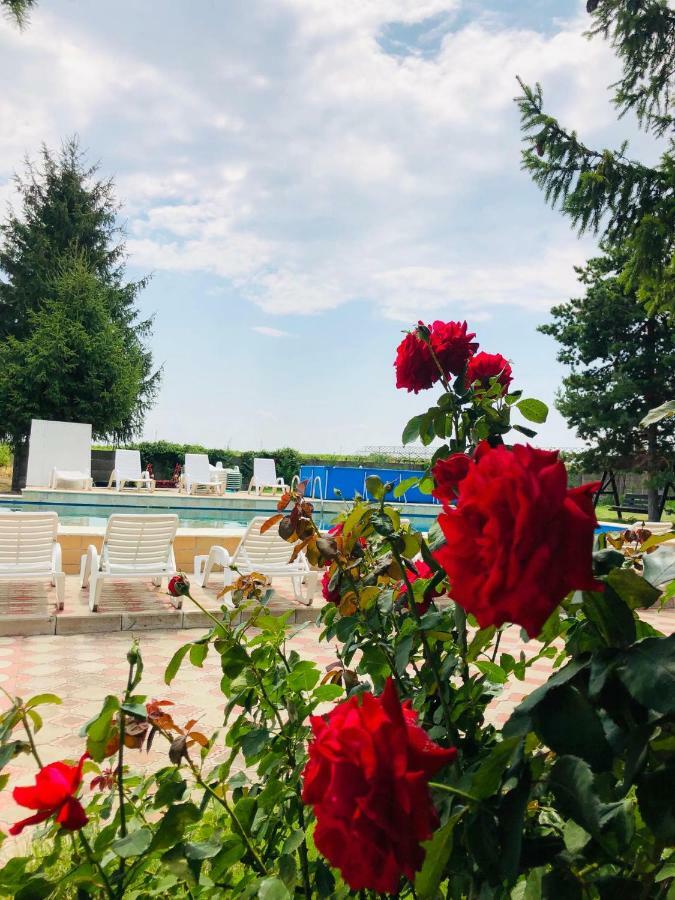 Pensiunea Paradis Vrancean Cotesti  Екстер'єр фото